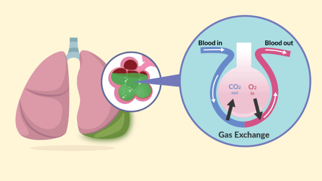Thumbnails Simple Nursing by flearningstudio Our Portfolio