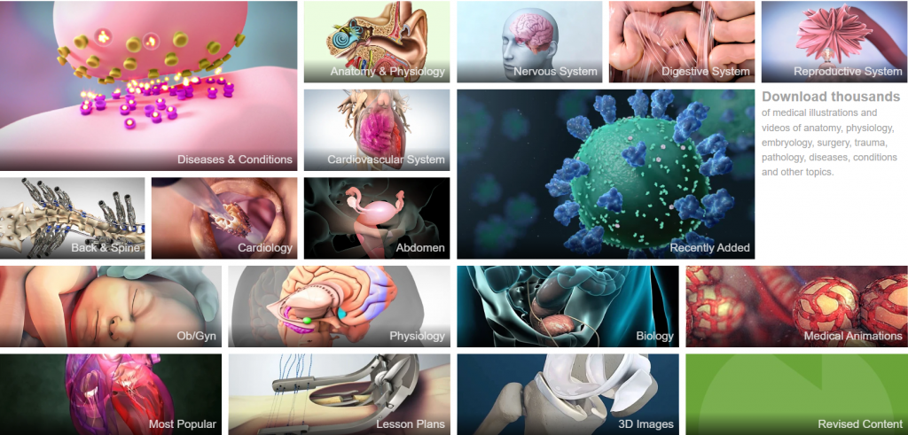 image Medical Animation Agency: 10 Experts in Visualizing Science