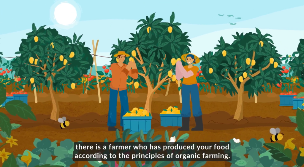 image 11 Our Portfolio