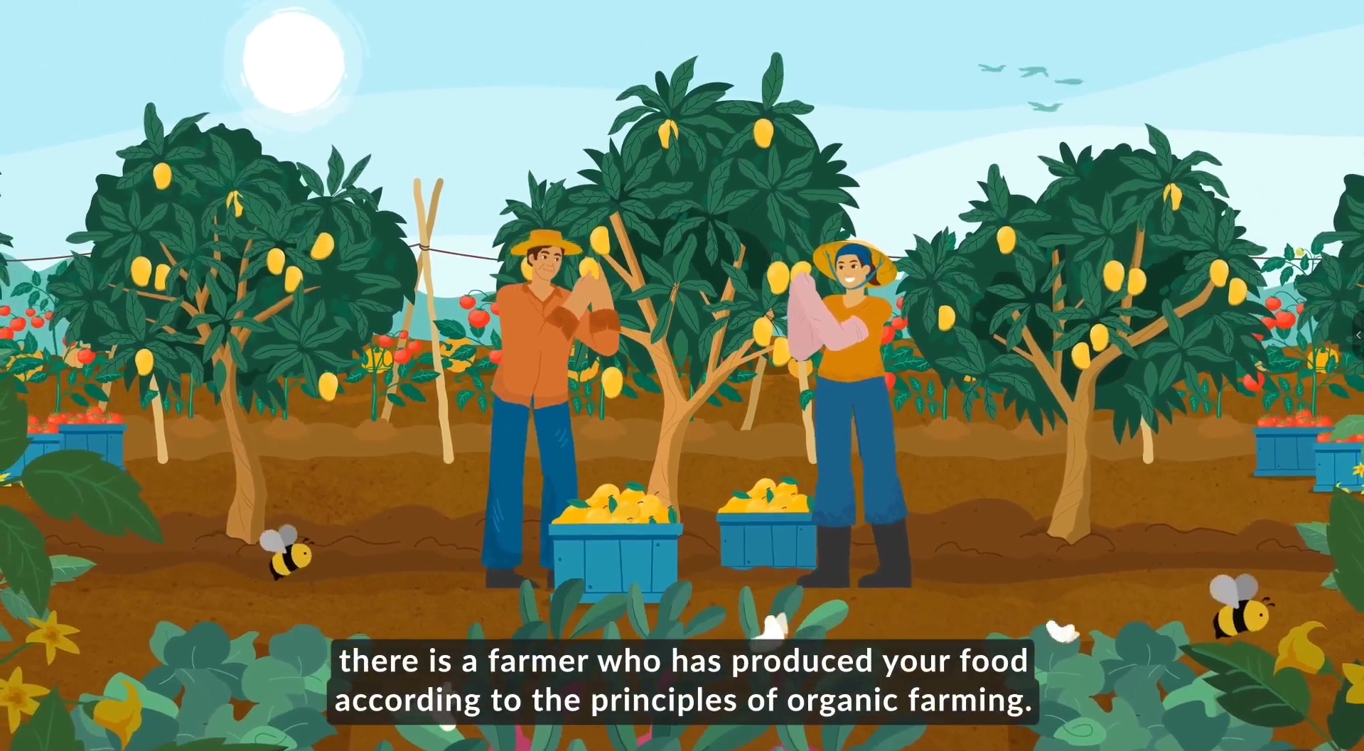 image 11 F. Learning Studio #1 Animation Partner for Training & Education​