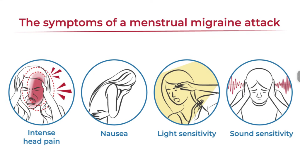 image 8 Our Portfolio