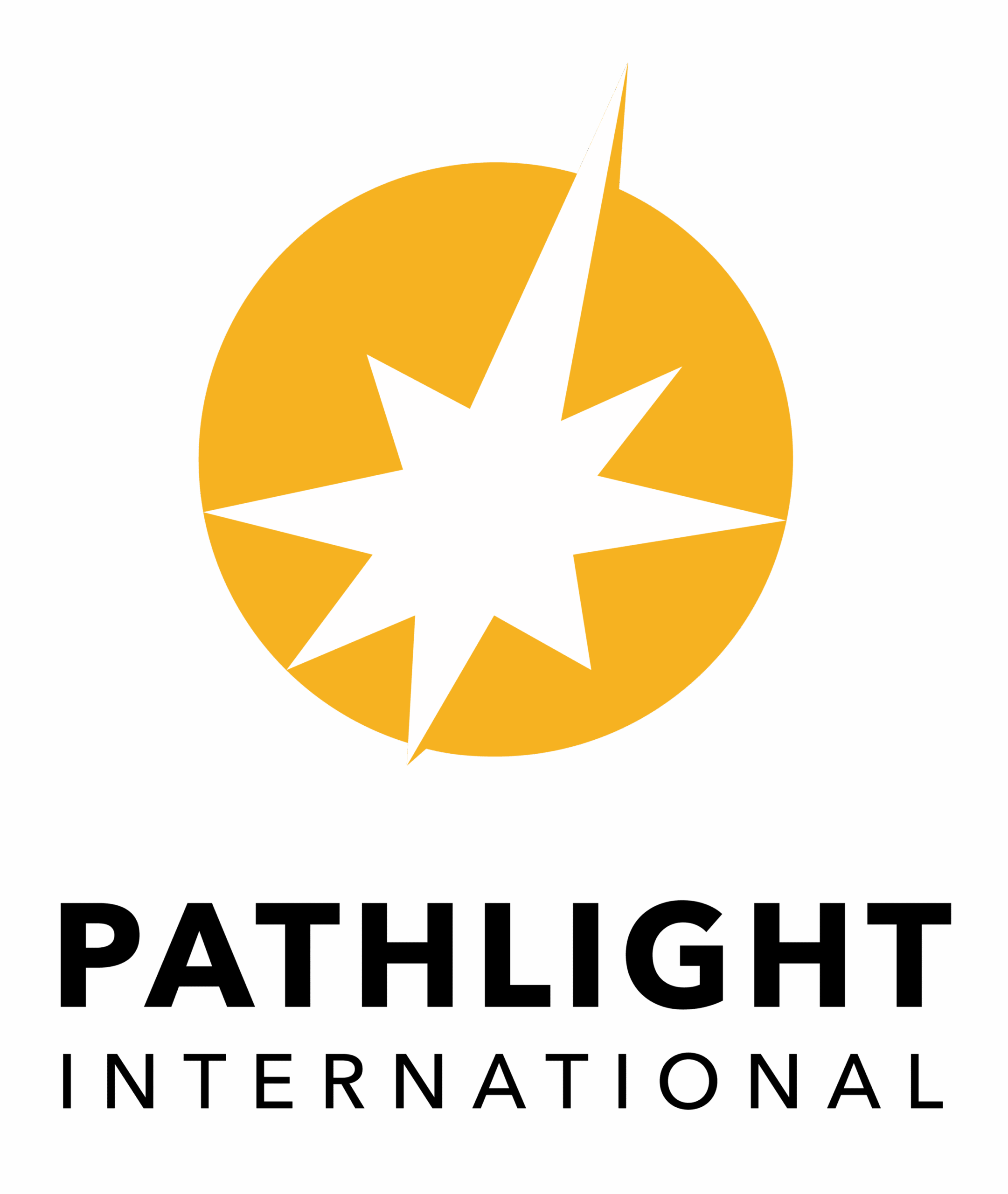 pathlight-black-ver