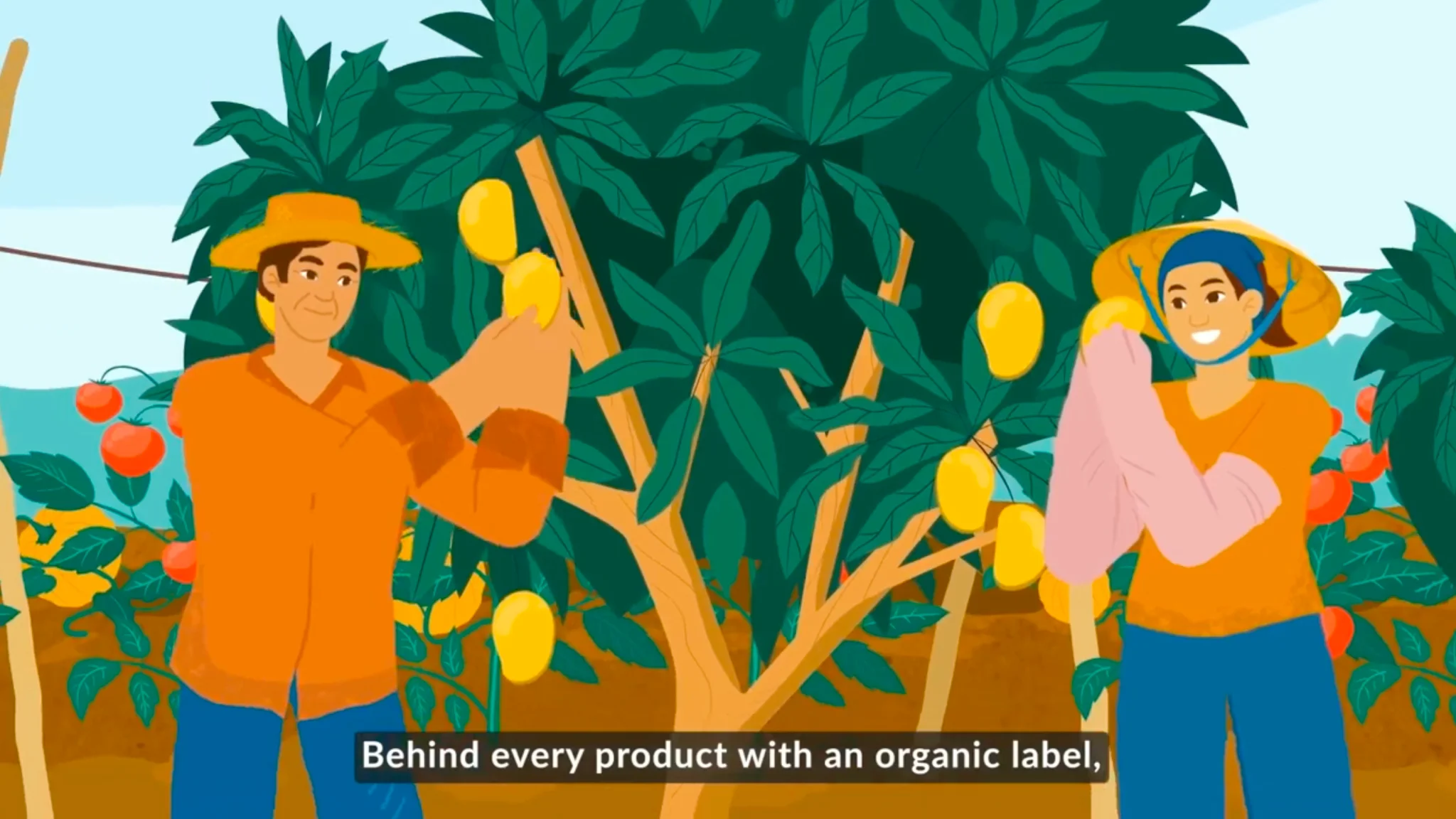 Naturland Academy F. Learning Studio #1 Animation Partner for Training & Education​