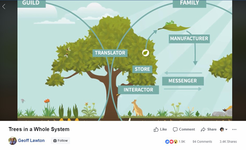 Permaculture Design Course