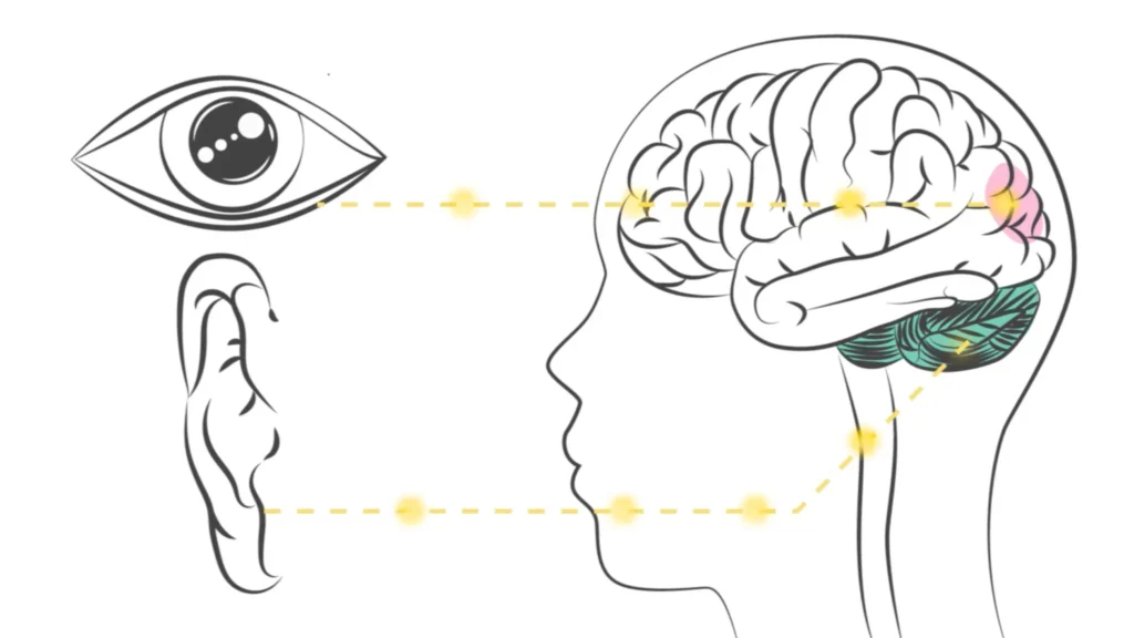 Association of Migraine Disorders 2 Discharge-Day Education Is Too Late.